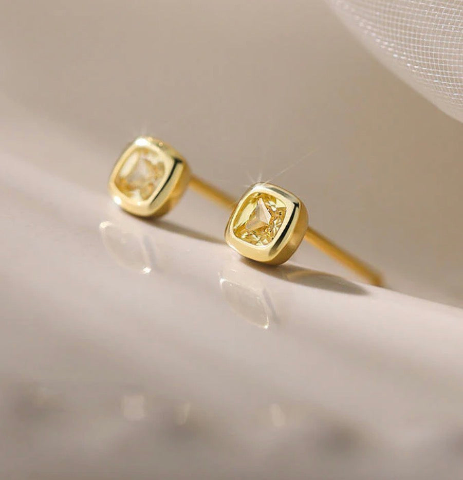 Stud Earrings